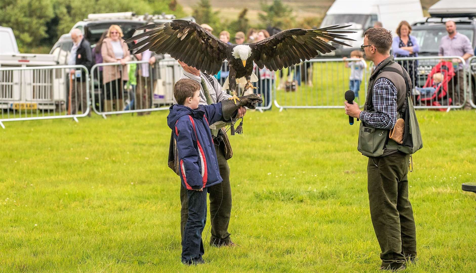 There are special displays with birds of prey. Picture: Wendy Sutherland