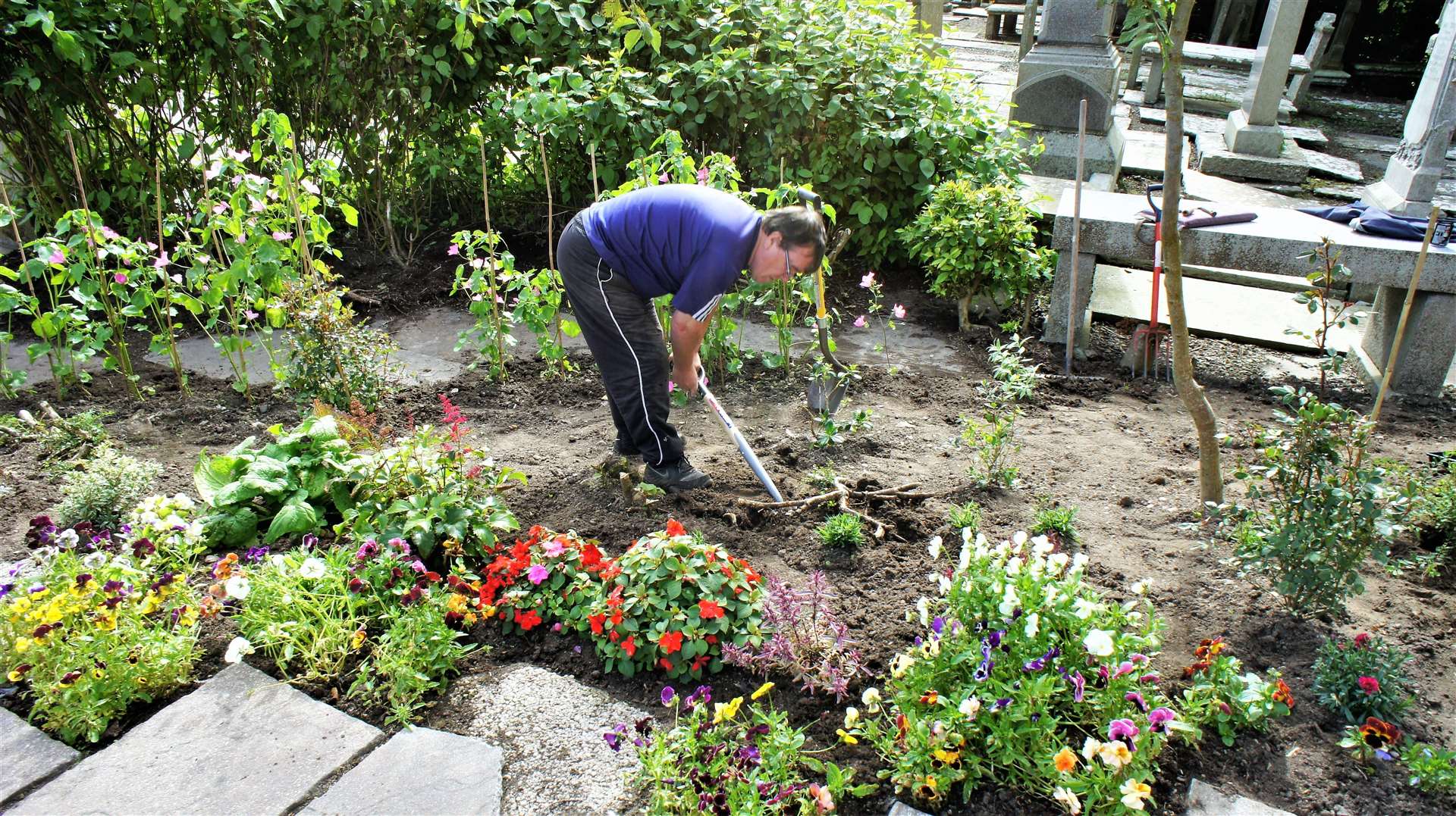 Leslie and other volunteers totally transformed the garden area in front of St Fergus Church into a vibrant display of colourful flowers. Picture: DGS