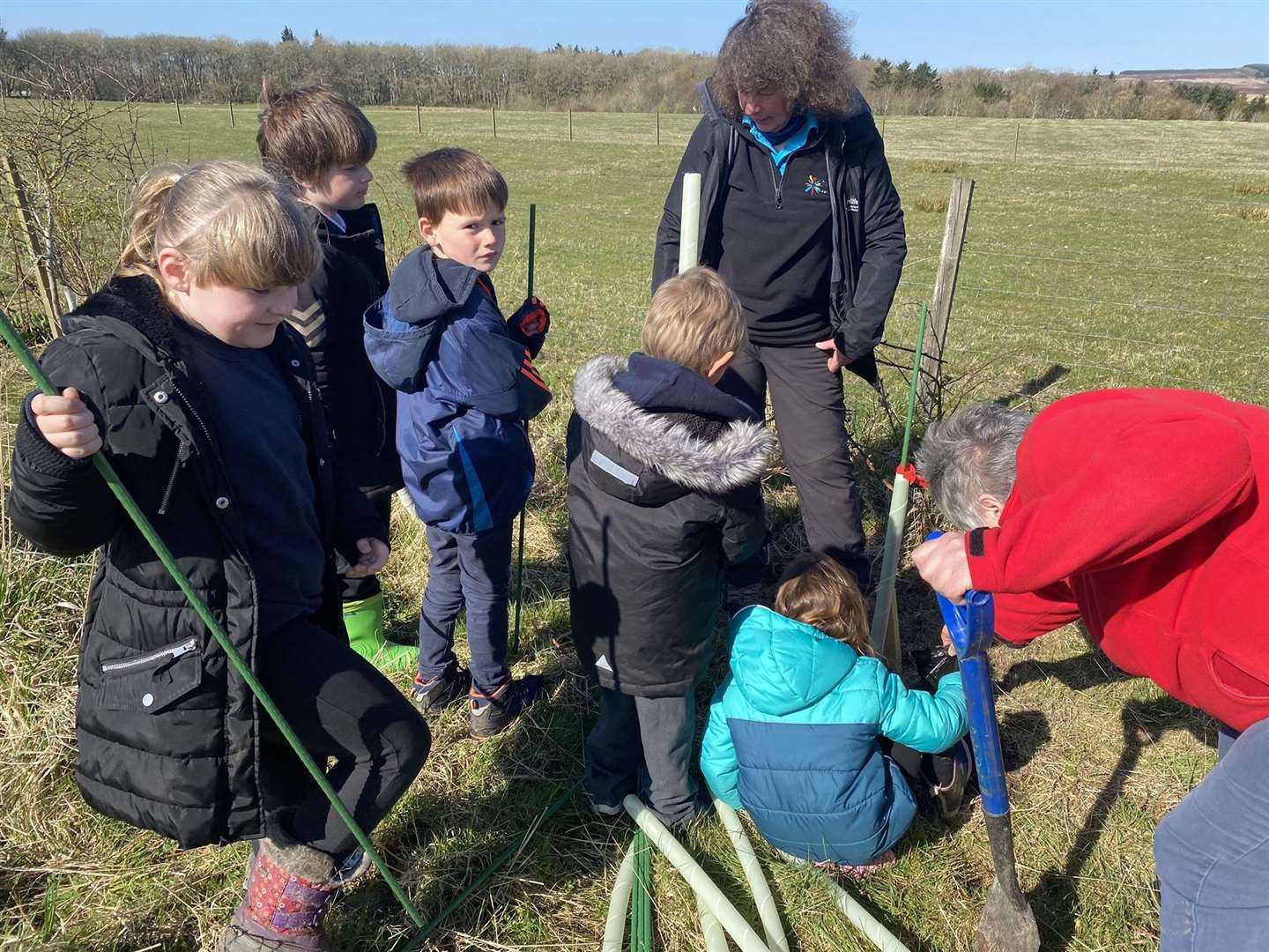 A busy scene as youngsters from Thrumster Primary School get on with the task of planting trees.