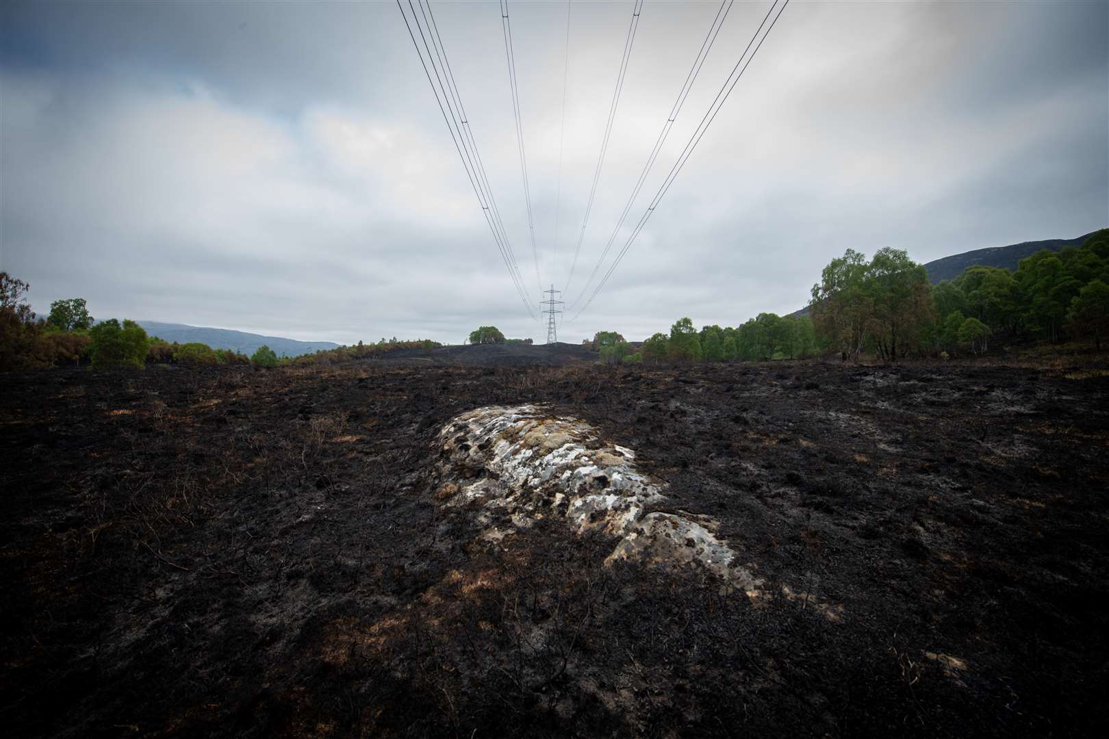 The devastation caused by the wildfire at the RSPB reserve in Corrimony. Picture: Callum Mackay.