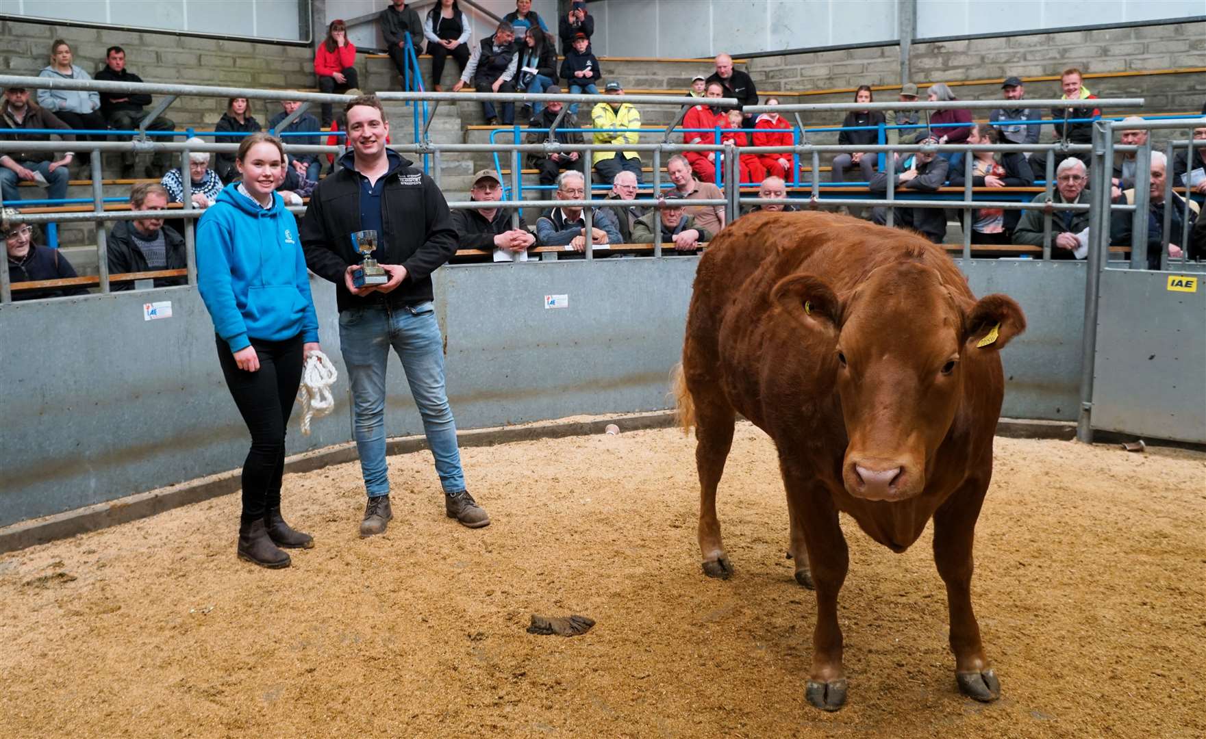 Isla Mackay won the W & A Geddes Perpetual Trophy for Best Overall Daily Liveweight Gain. Picture: DGS
