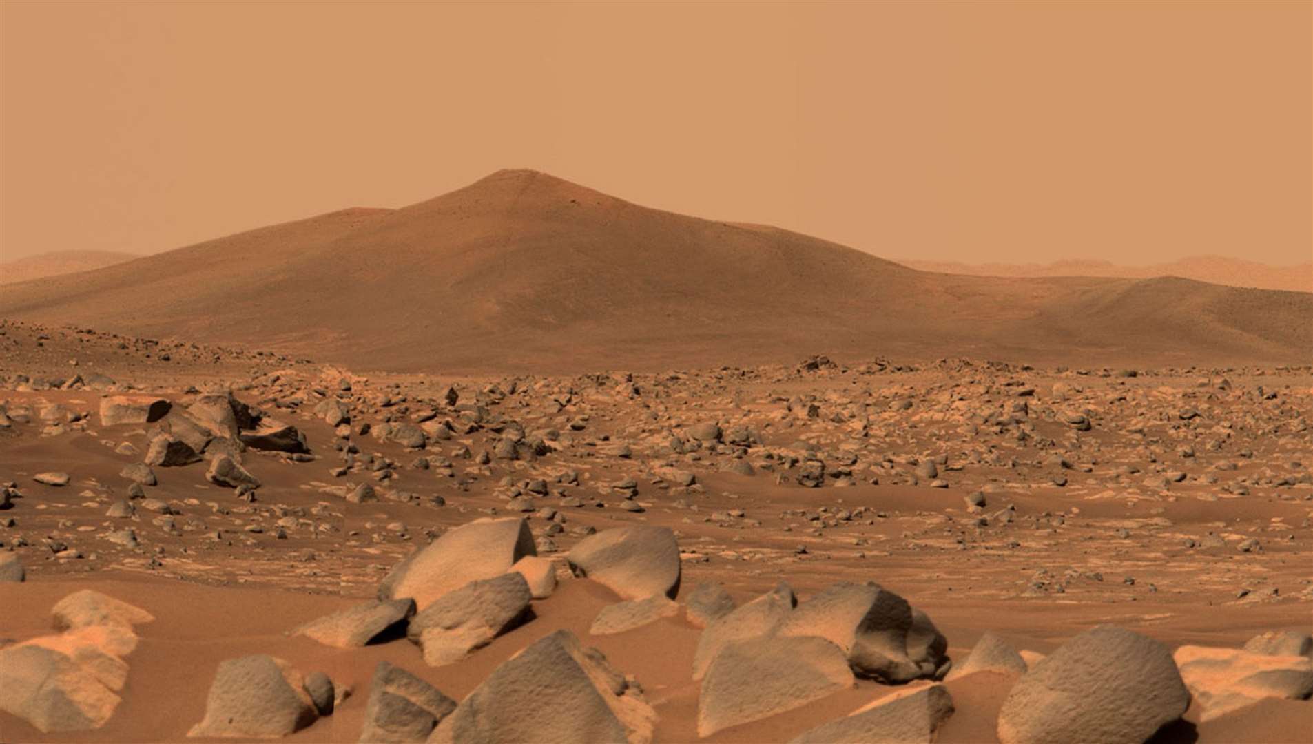 Samples of rocks from Mars are scheduled to be brought to Earth in 2033 (NASA/JPL-Caltech/ASU/MSSS/PA)
