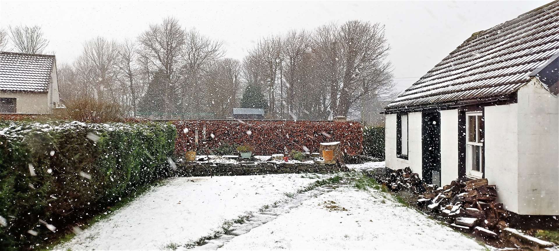 Snow in Watten on February 4. Picture: DGS