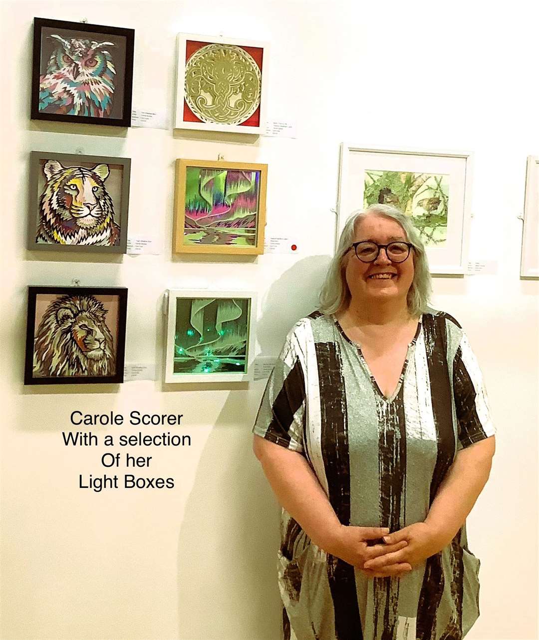Carole Scorer has several light boxes on display.