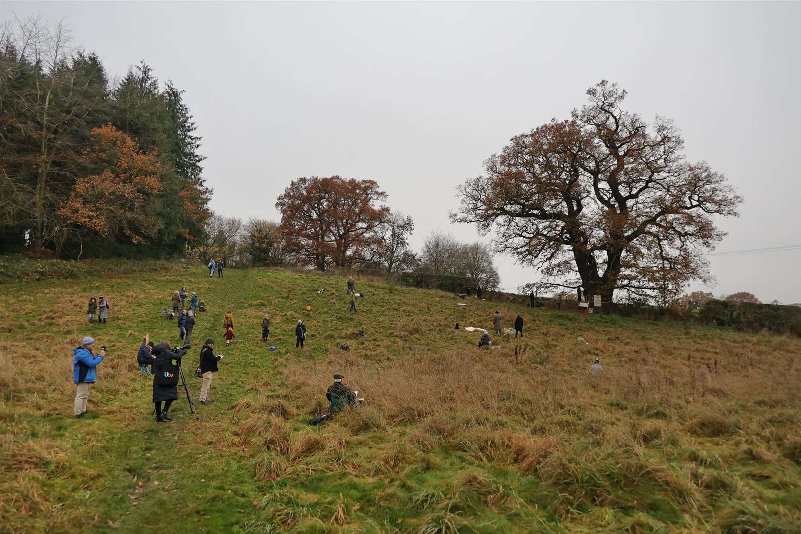 More than 50 people gathered to protest against the felling of the Darwin Oak (Chris Warrender/PA)