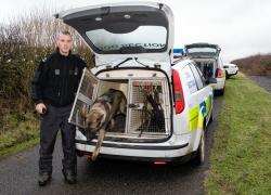 Northern Constabulary’s dog unit was involved in yesterday’s search. Photo: Robert MacDonald.