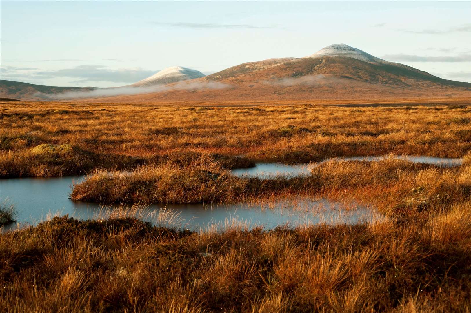The Scottish Greens have helped to protect peatlands such as the Flow Country of Caithness and Sutherland, according to Ariane Burgess.