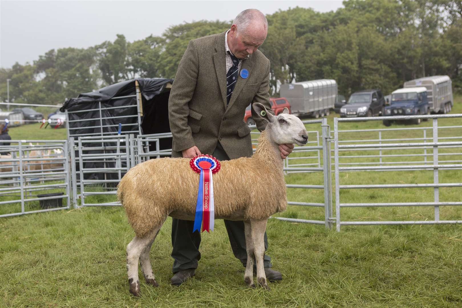 Sandy Douglas, Achnamoine Farm, with his native sheep champion, a late February-born Bluefaced Leicester cross ewe lamb, by SP Dallpedad P3. Picture: Robert MacDonald / Northern Studios