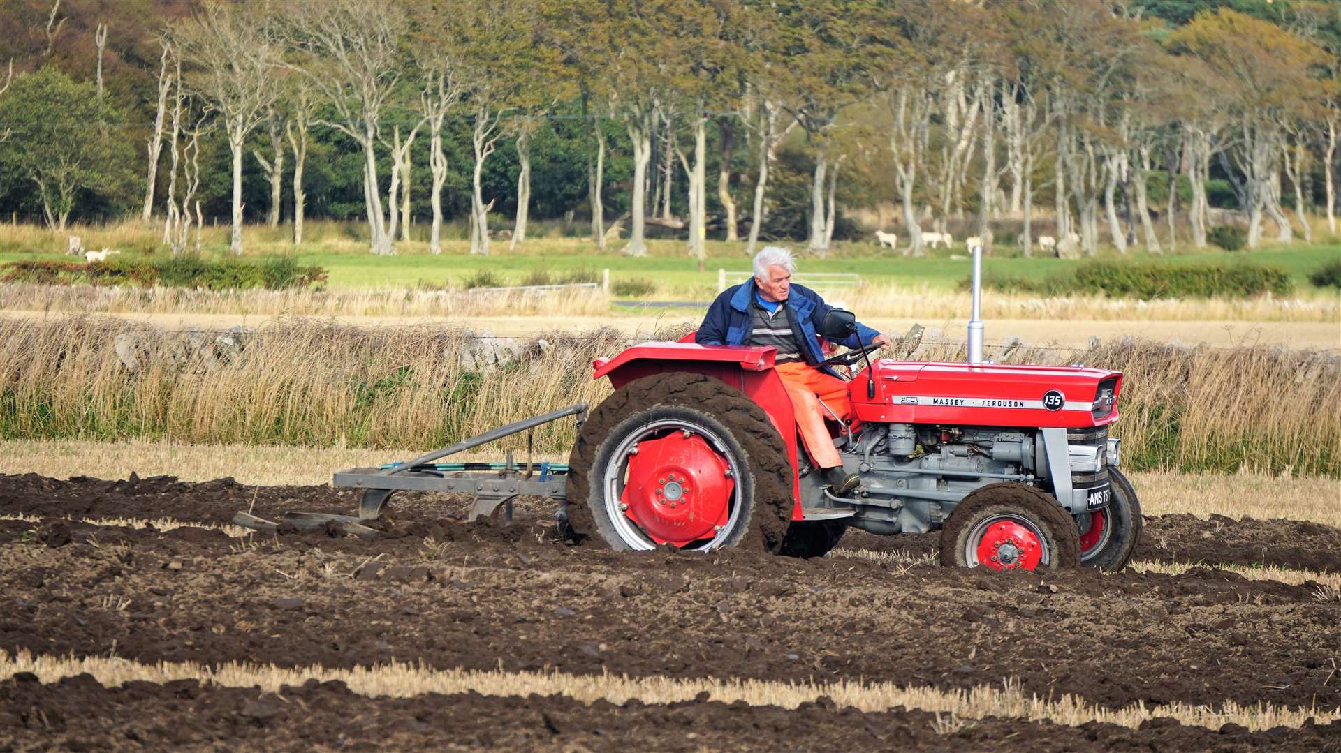 Don Macleod from Lyth on his Massey Ferguson 135 with a Newlands plough. Picture: DGS