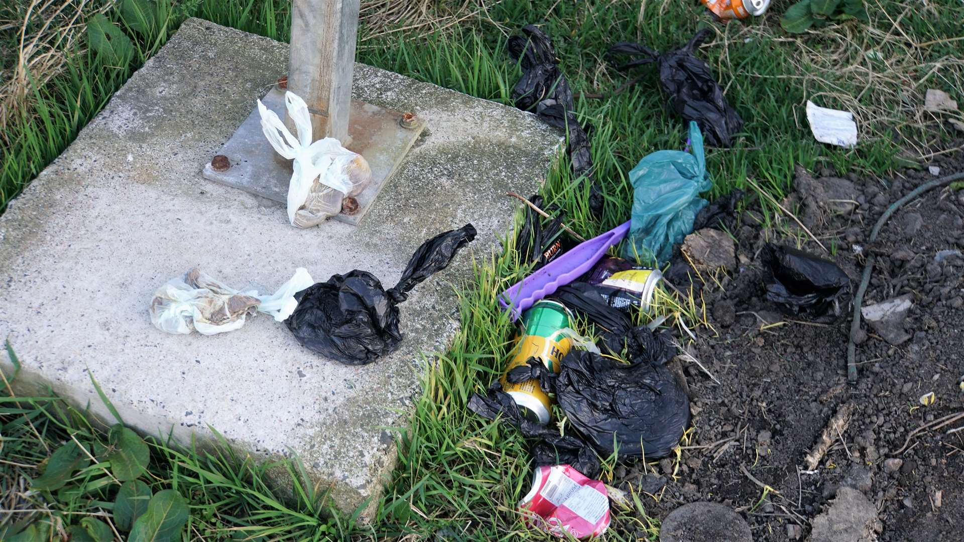 More than 10 bags were left beside this vandalised bin near the Trinkie at Wick. Picture: DGS
