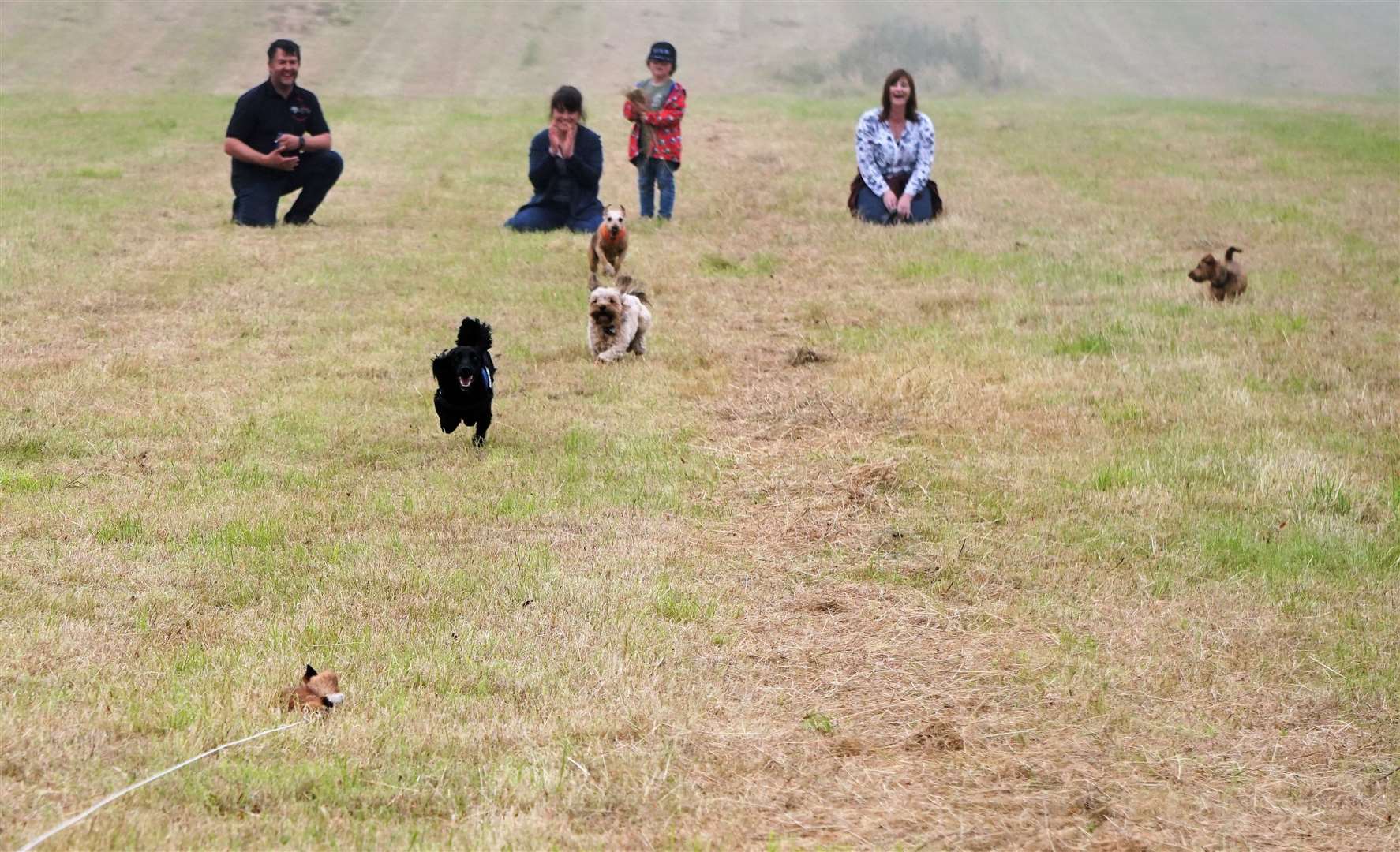 The ever popular terrier race event. Picture: DGS