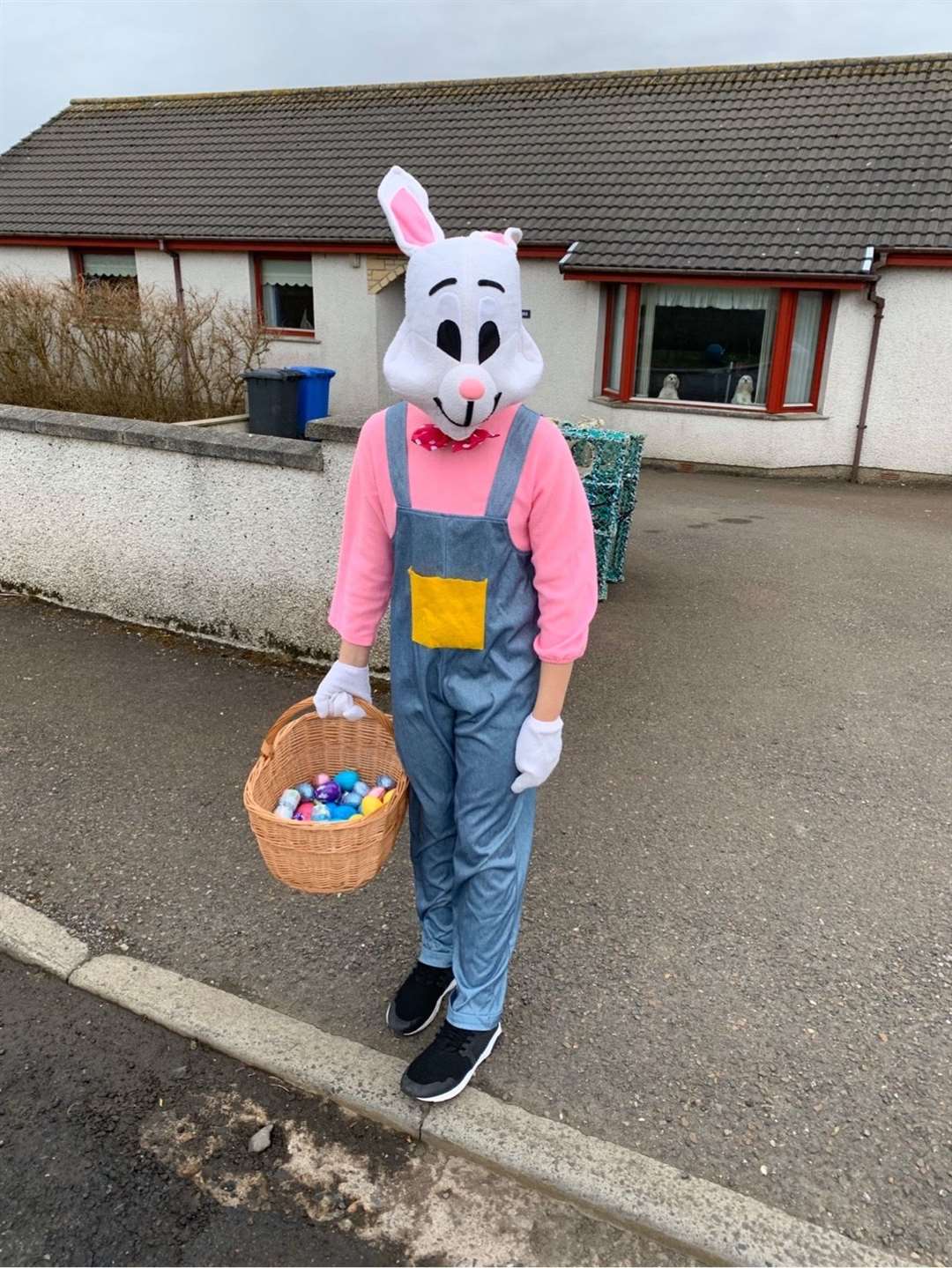 Ten-year-old Alexander Mackay dressed up as the Easter Bunny as he sets out to deliver eggs in Keiss. Picture Andrew Mackay