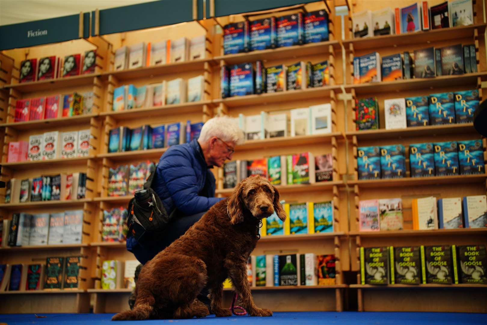 A man peruses a book with his dog at the Cheltenham Literature Festival 2022 (Ben Birchall/PA)
