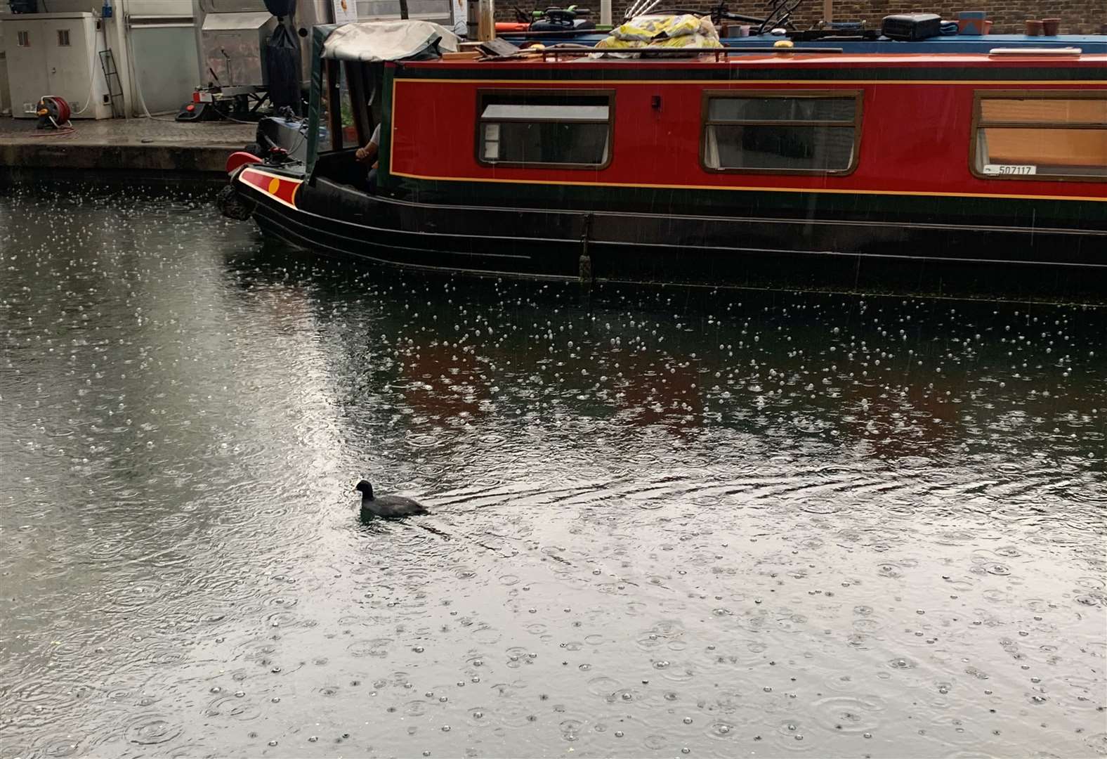 A coot enjoys the change in the weather in Paddington (Peter Clifton/PA)