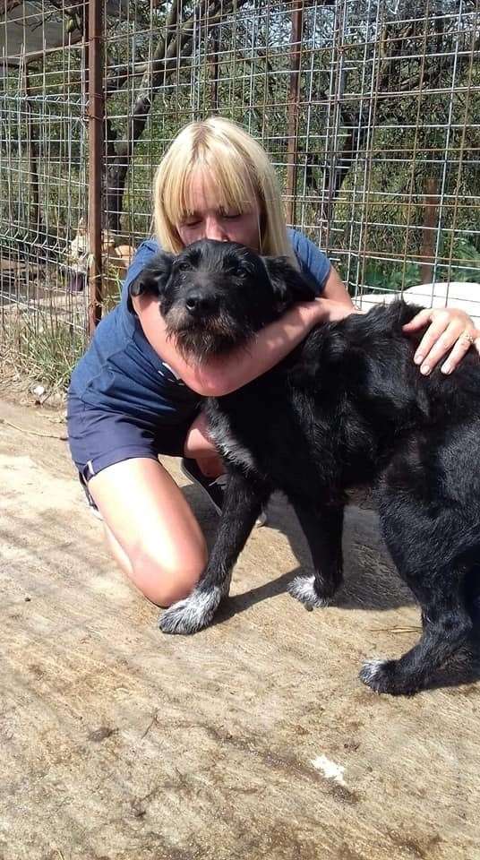 Local volunteer Angela Henderson photographed along with one of the dogs at the shelter in Romania.