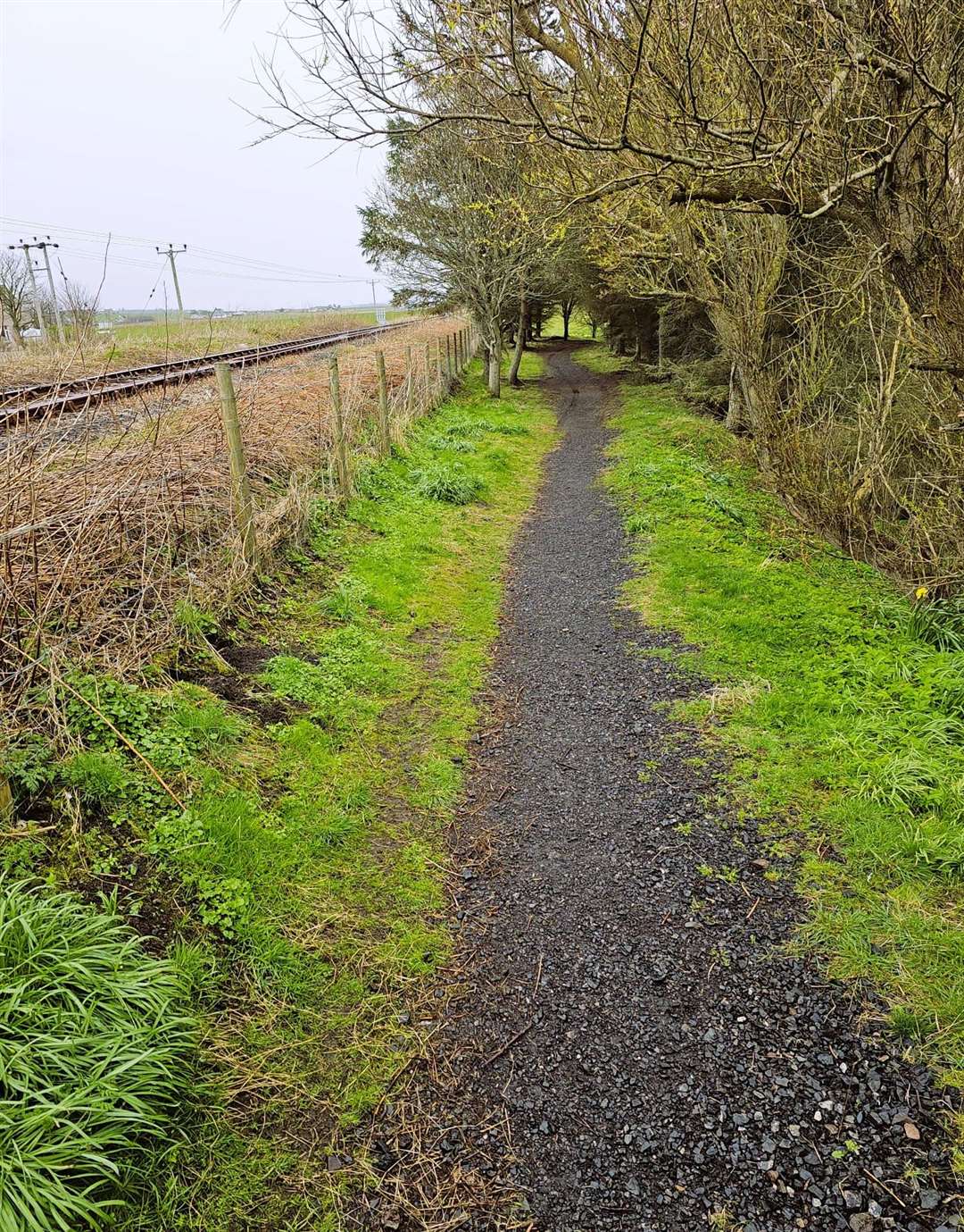 Path scraping work done by the group of volunteers at Wick riverside.
