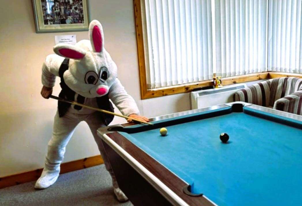 The Easter bunny on a winning streak playing pool.