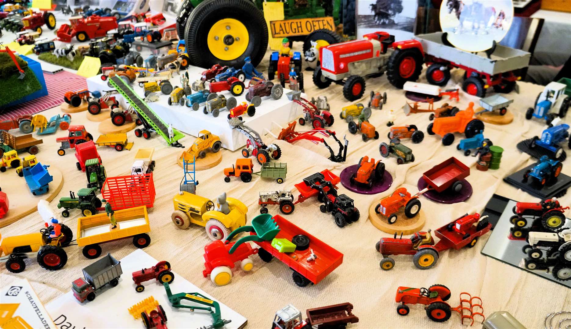A colourful display of farm machinery. Picture: DGS
