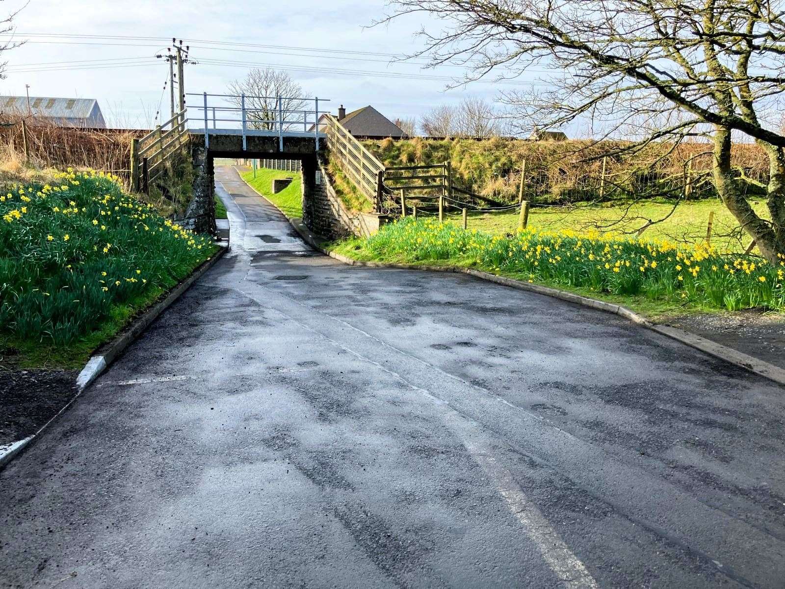 The camping site access road was cleared. Picture: Allan Bruce