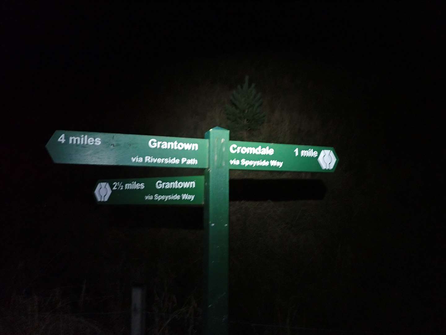 One of the path signs in the woods lit by headtorch.