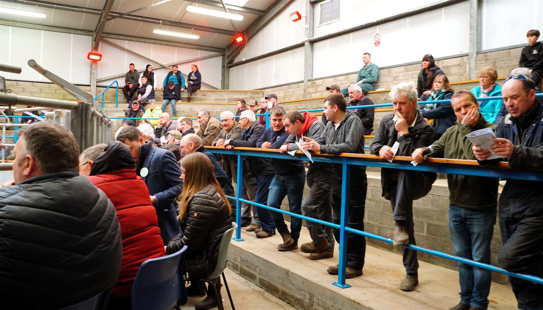 The Caithness Livestock Centre on Monday. Picture: DGS