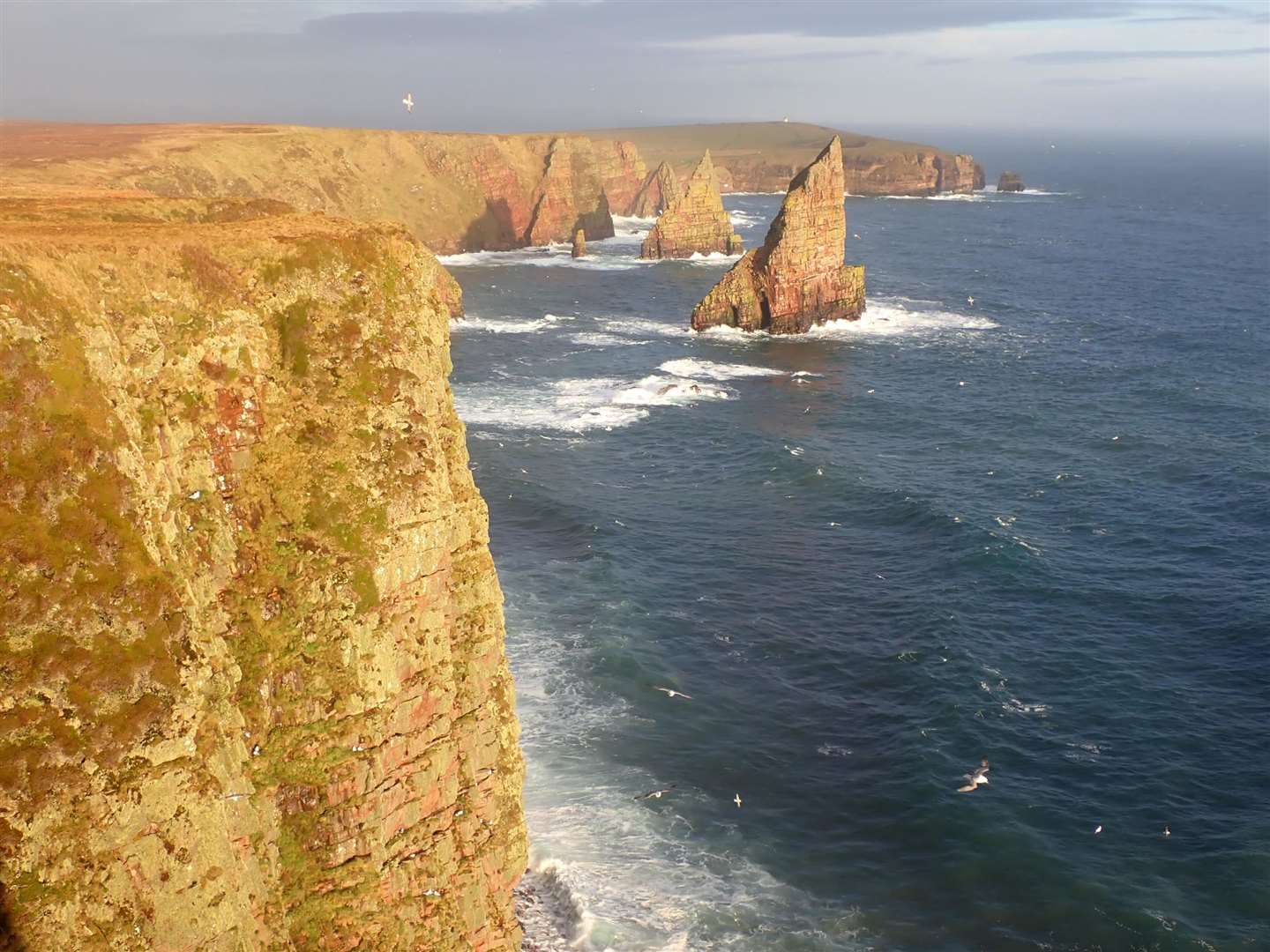 The Stacks of Duncansby.