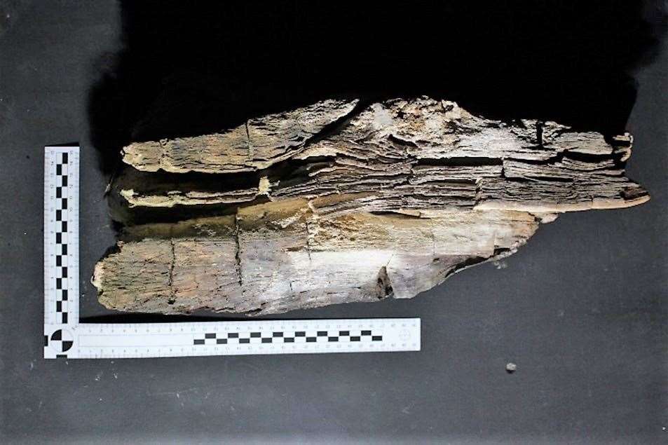The piece of timber was dated to the 1500s by scientists. Picture: Hamish Darrah