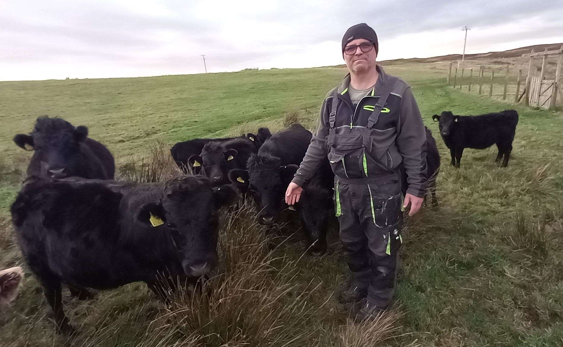 Adreain Gill with his Dexter cattle at Bruan Park, Ulbster. Picture: Willie Mackay