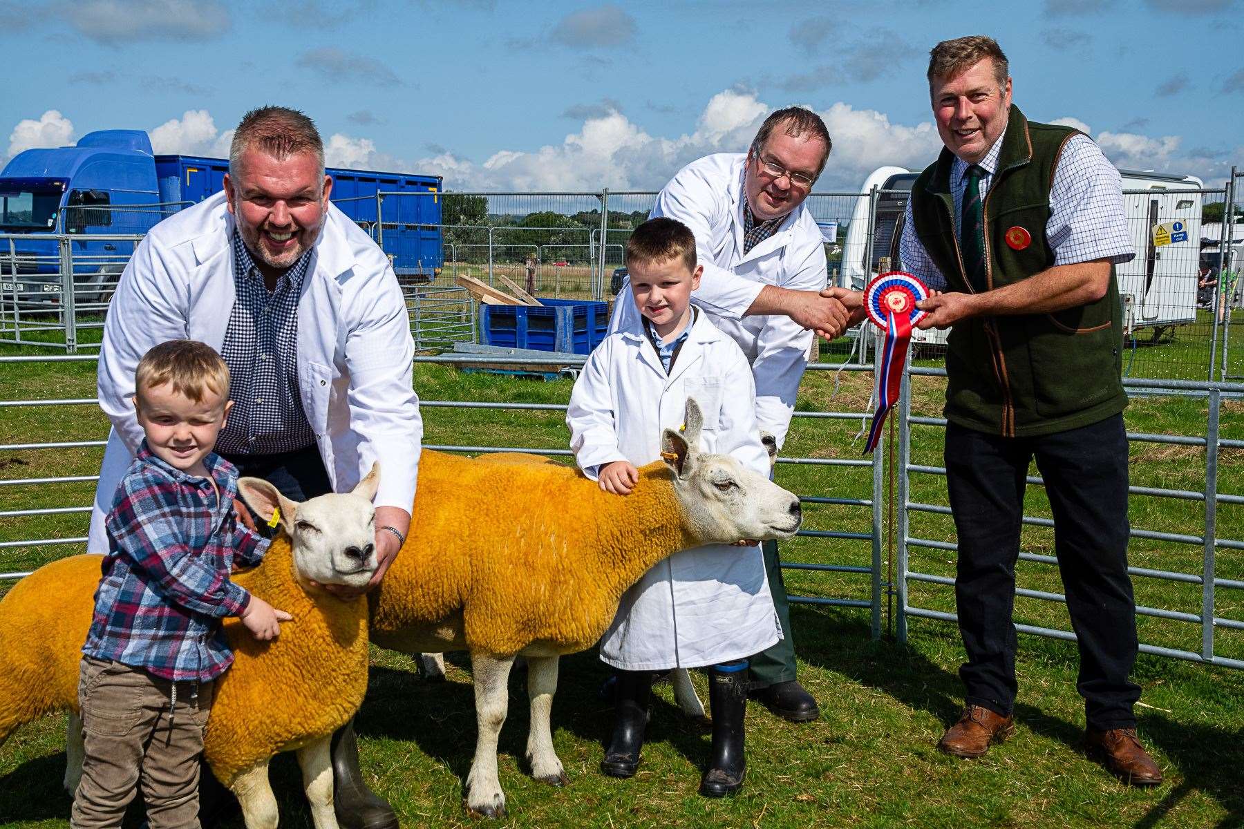 Crossbreed champion Ewe with twin lambs, winners Messrs Sutherland, Sibmister and Stainland Farms, Thurso.