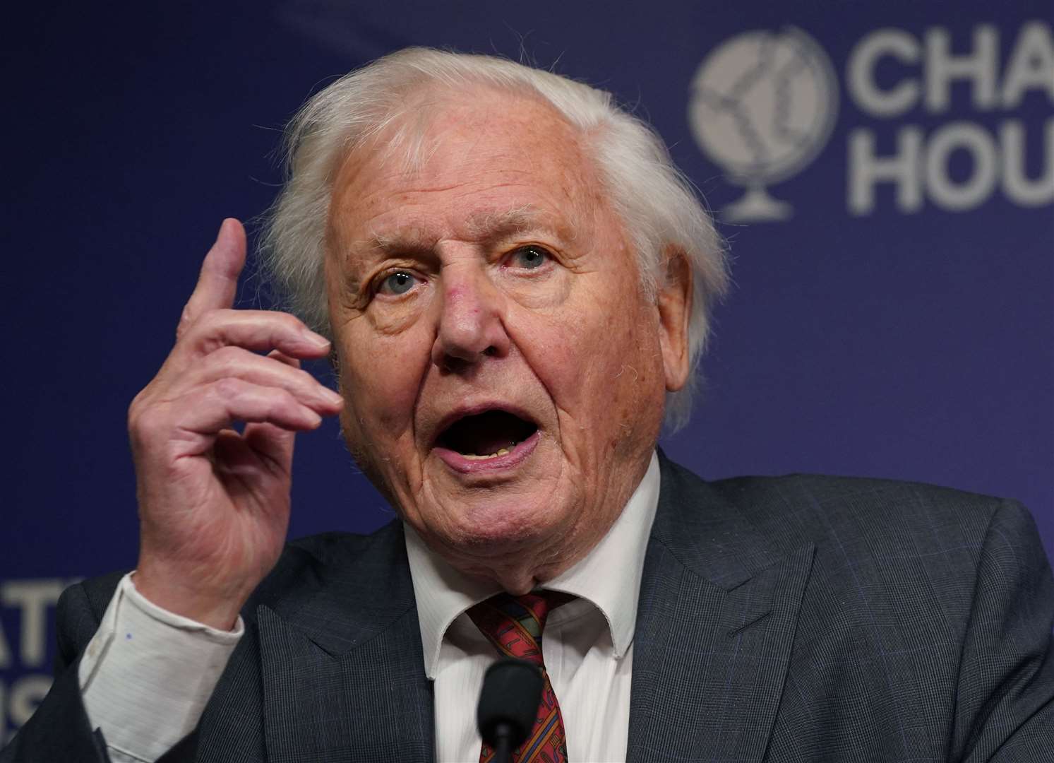 Sir David Attenborough is a member of the Earthshot Prize Council (Yui Mok/PA)