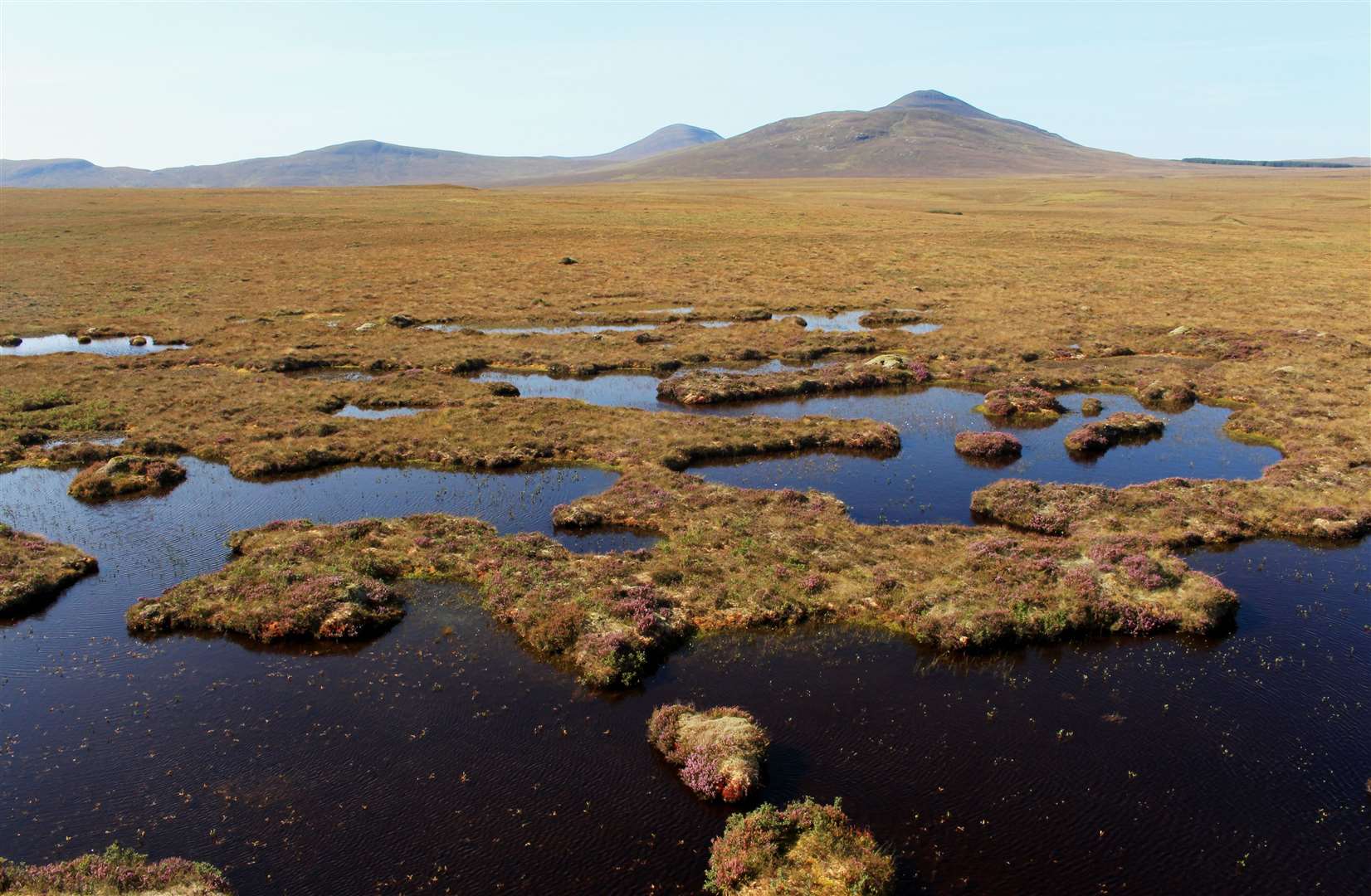 Peatland restoration could lead to the employment of 241 people over 18 years, it is claimed. Picture: Alan Hendry