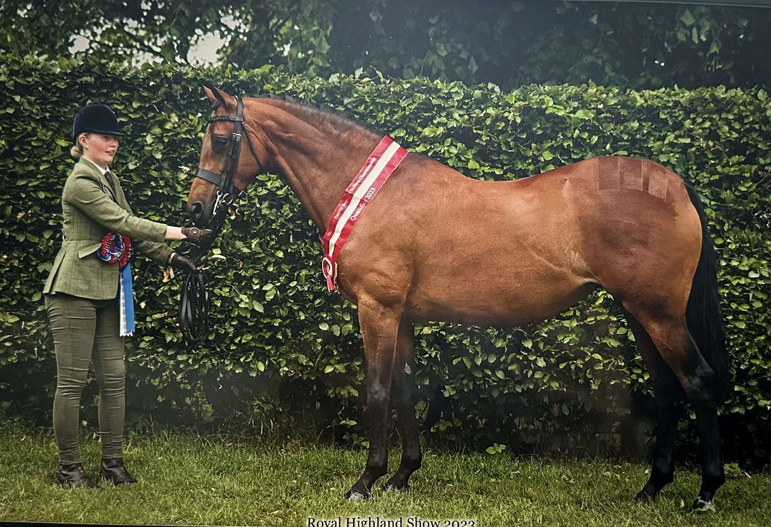 Emma Gunn and her award-winning horse, Maisie