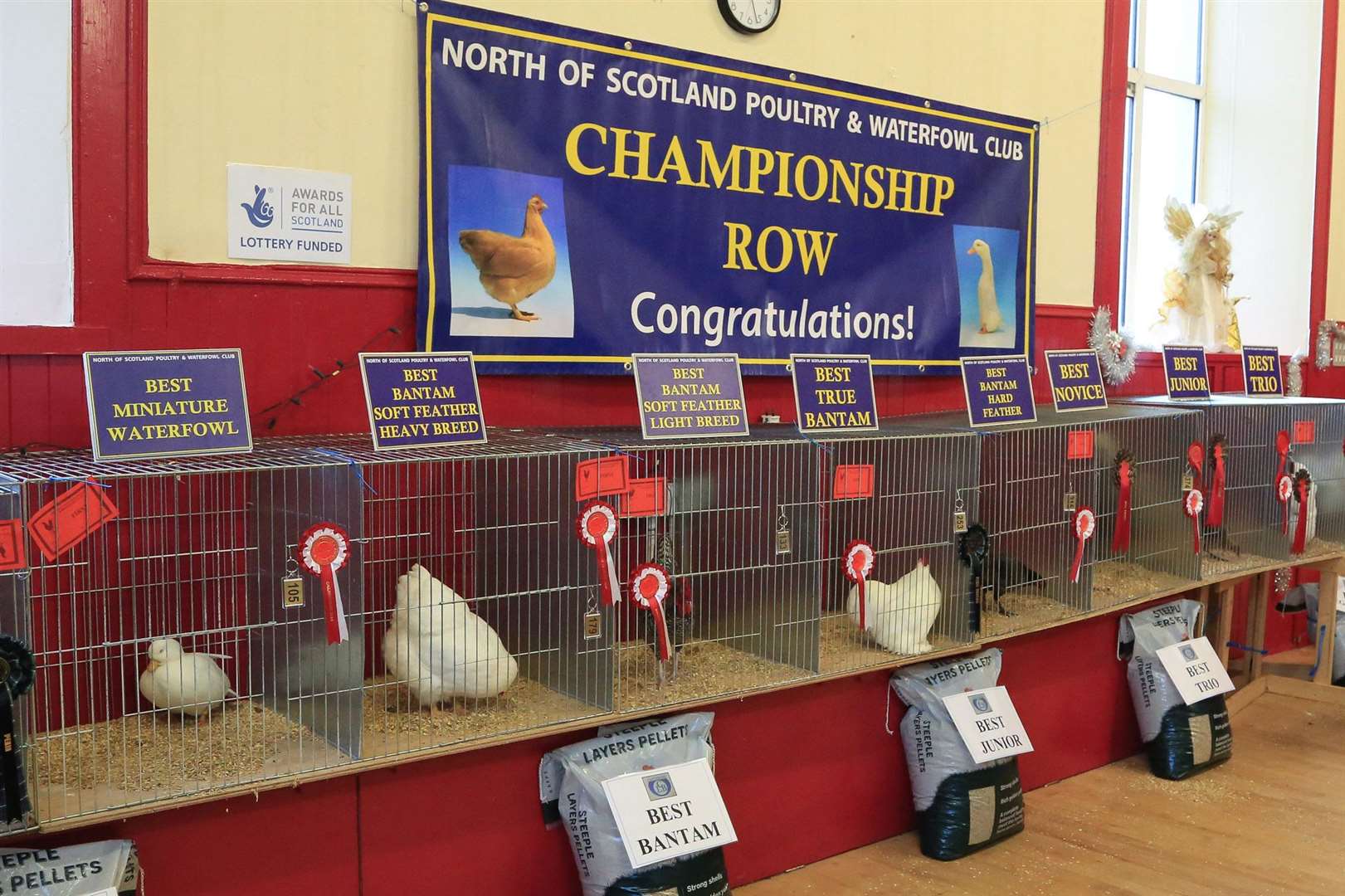 The championship row at the show in Castletown. Picture: Khush Celli