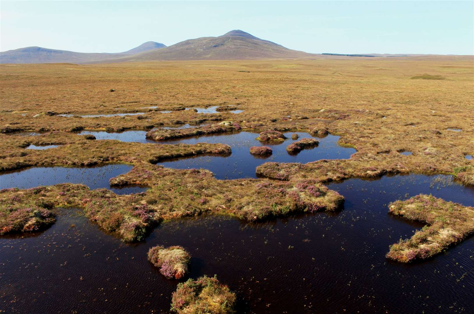 The Flow Country Partnership led the successful bid. Picture: Alan Hendry