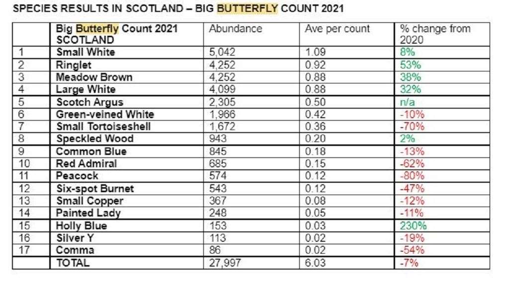Stats table for the Big Butterfly Count 2021.