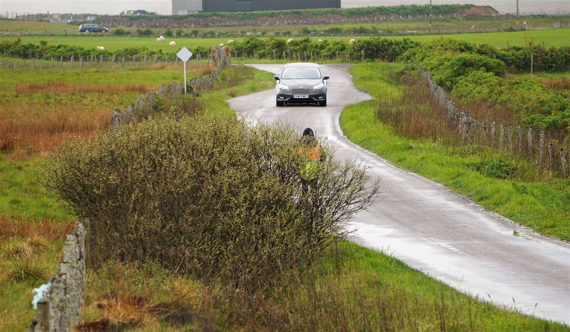 Isla is partially masked by a shrub that sits beside a dip and bend in the road. Picture: DGS