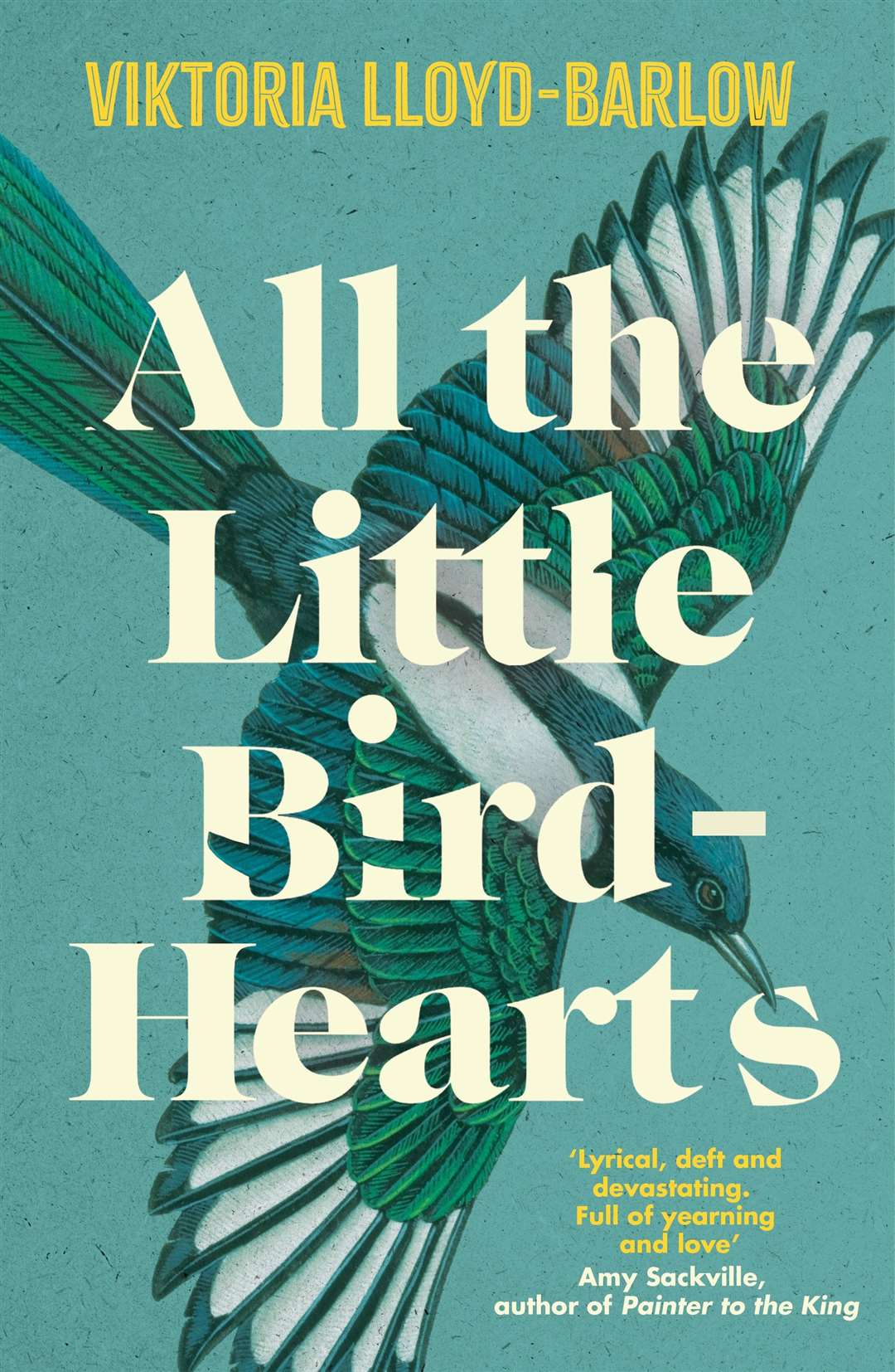 All The Little Bird Hearts by Viktoria Lloyd-Barlow (Tinder Press/PA)
