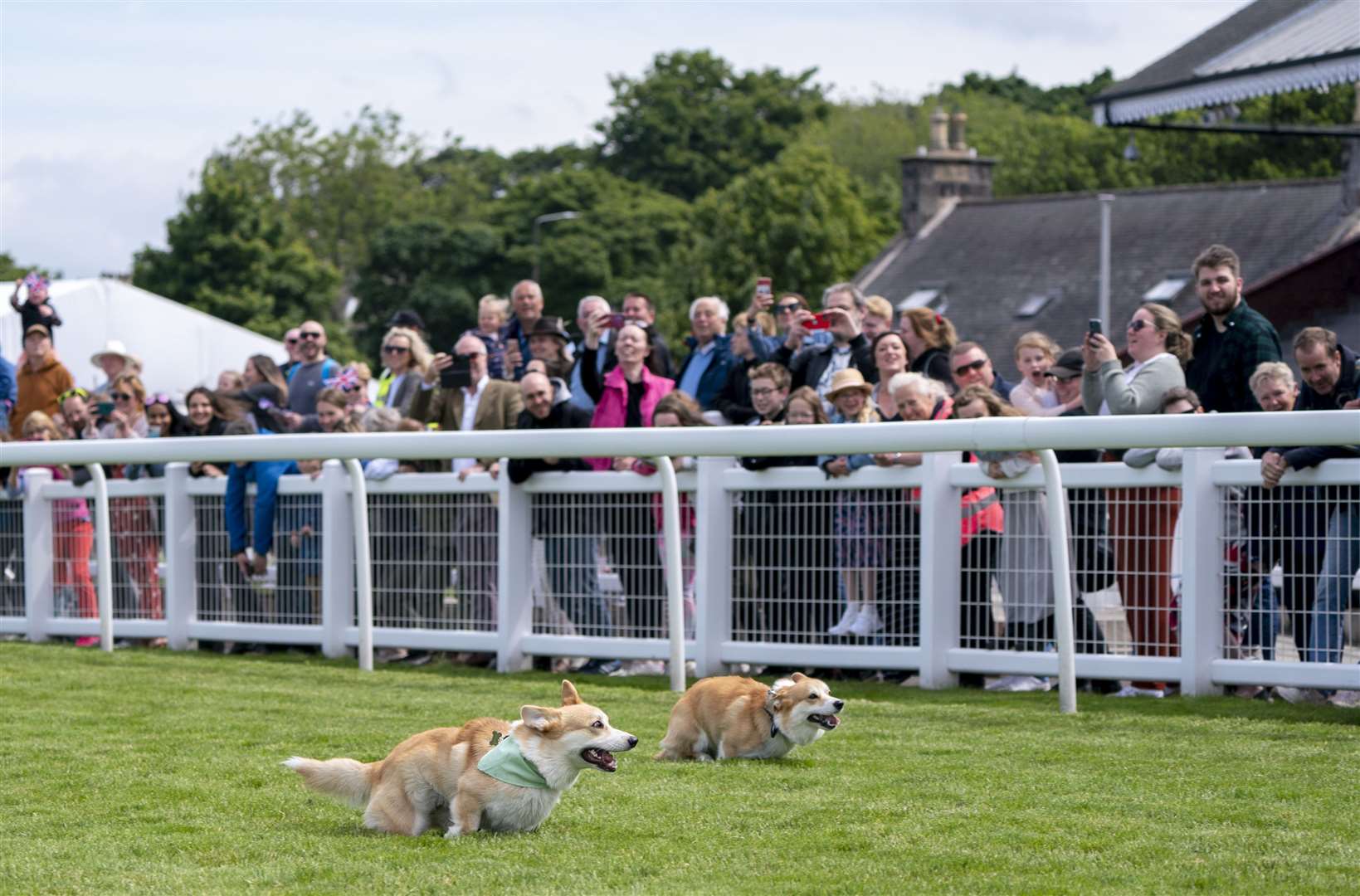 The dogs put on a burst of speed on the track (Jane Barlow/PA)