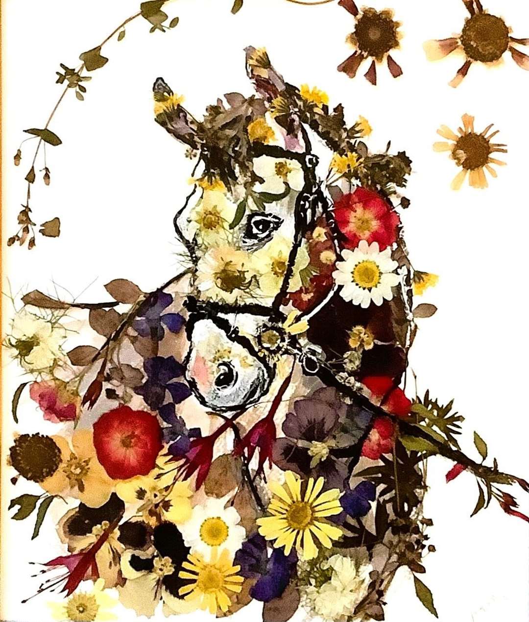 ‘Christie’ – a horse’s portrait. Elaine Rapson-Grant made this Oshibana picture using pressed flowers and leaves that she discovered at a charity shop in Wick.