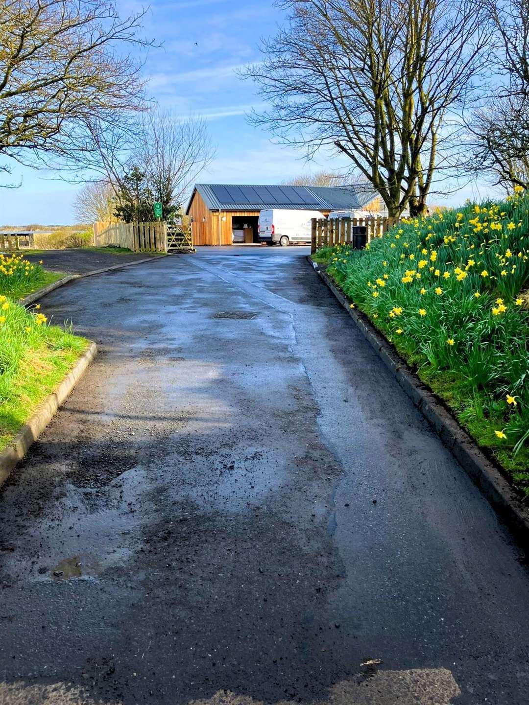 A nice spring picture of the camping site after the litter pick. Picture: Allan Bruce