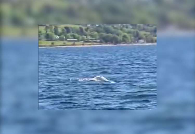 Amazingly rare yet ‘worrying’ creature spotted in Highland loch