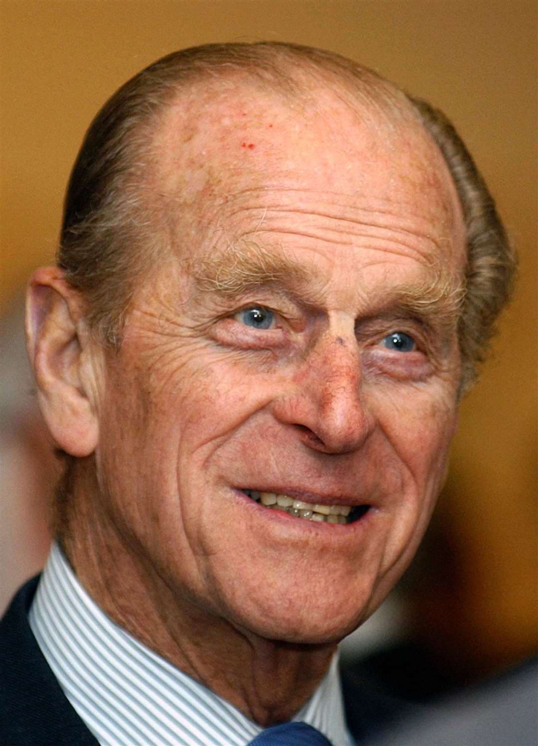 The Duke of Edinburgh is also known to have had a love for painting (PA)