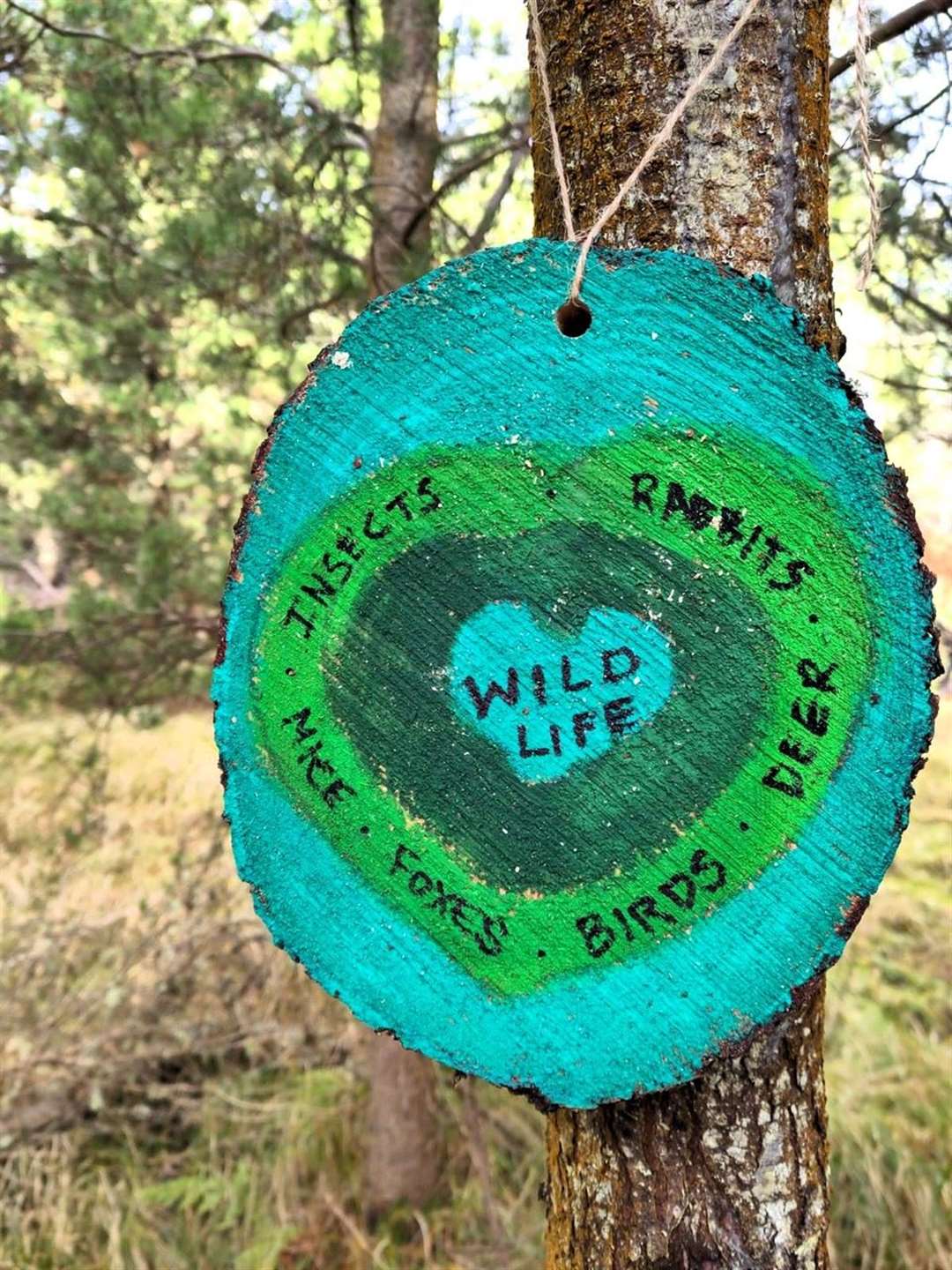 People wrote about the benefits of Dunnet forest and things they enjoyed about it. Picture supplied
