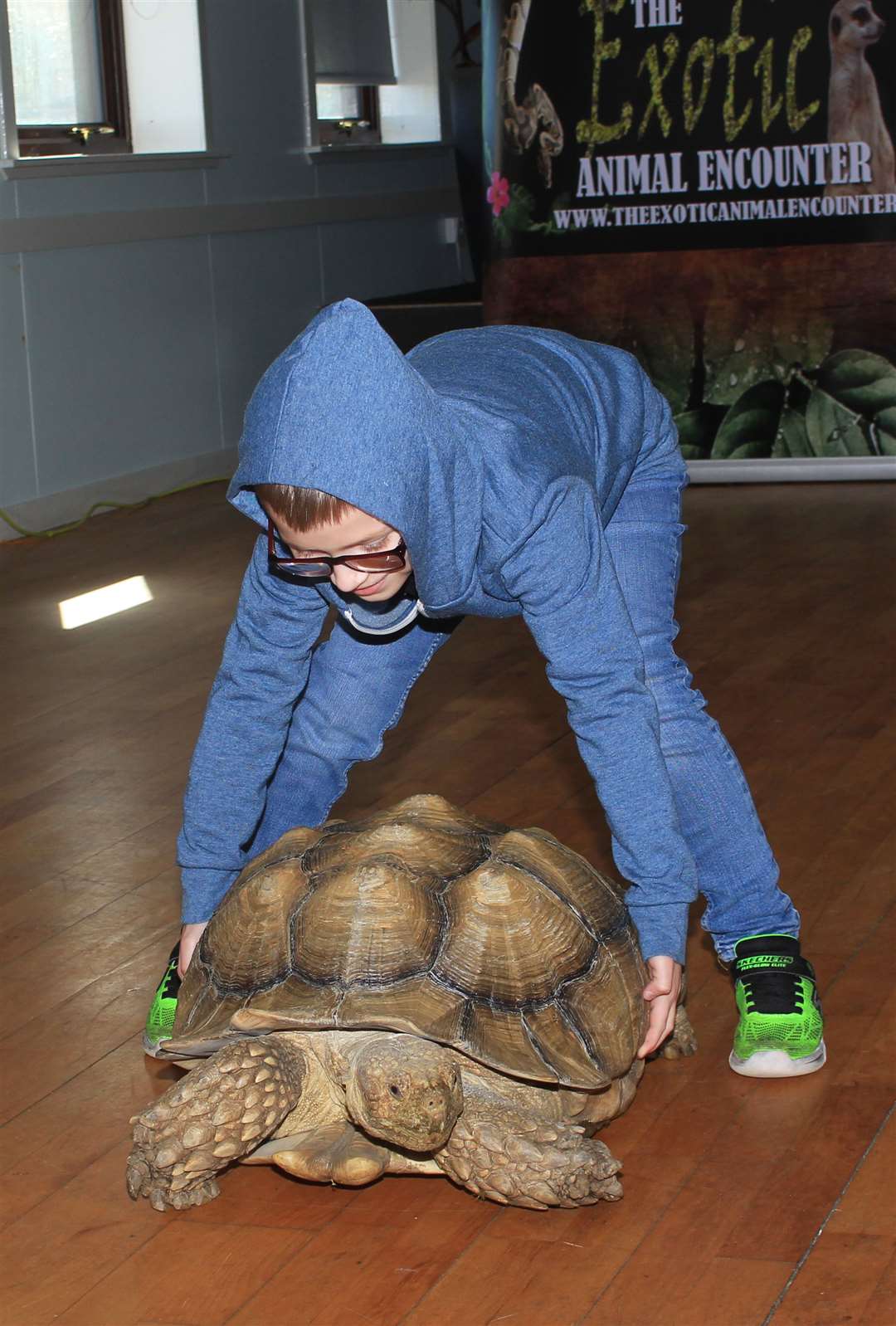 Robbie Gunn trying to lift the seven-stone sulcata tortoise.