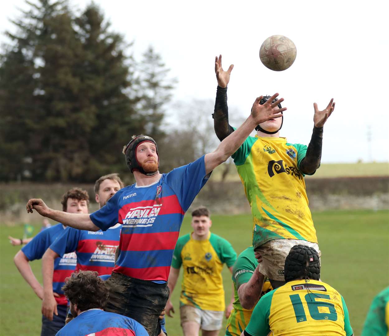 Duncan Mackay reaches for a lineout ball during the Yellows' victory over Craig Dunain. Picture: James Gunn