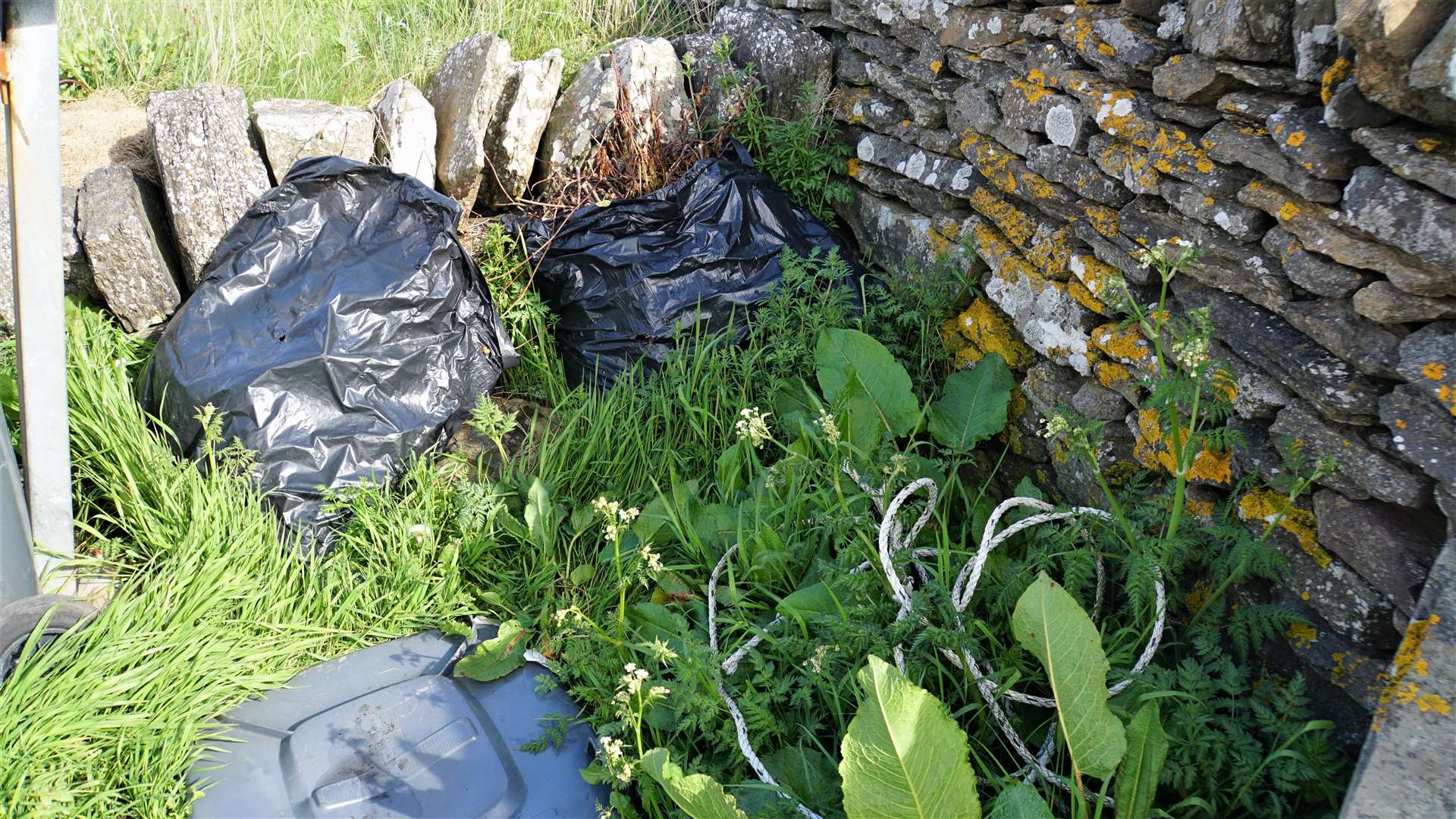 Fly tipped garden waste seen today at Castle of Old Wick car park. Picture: DGS