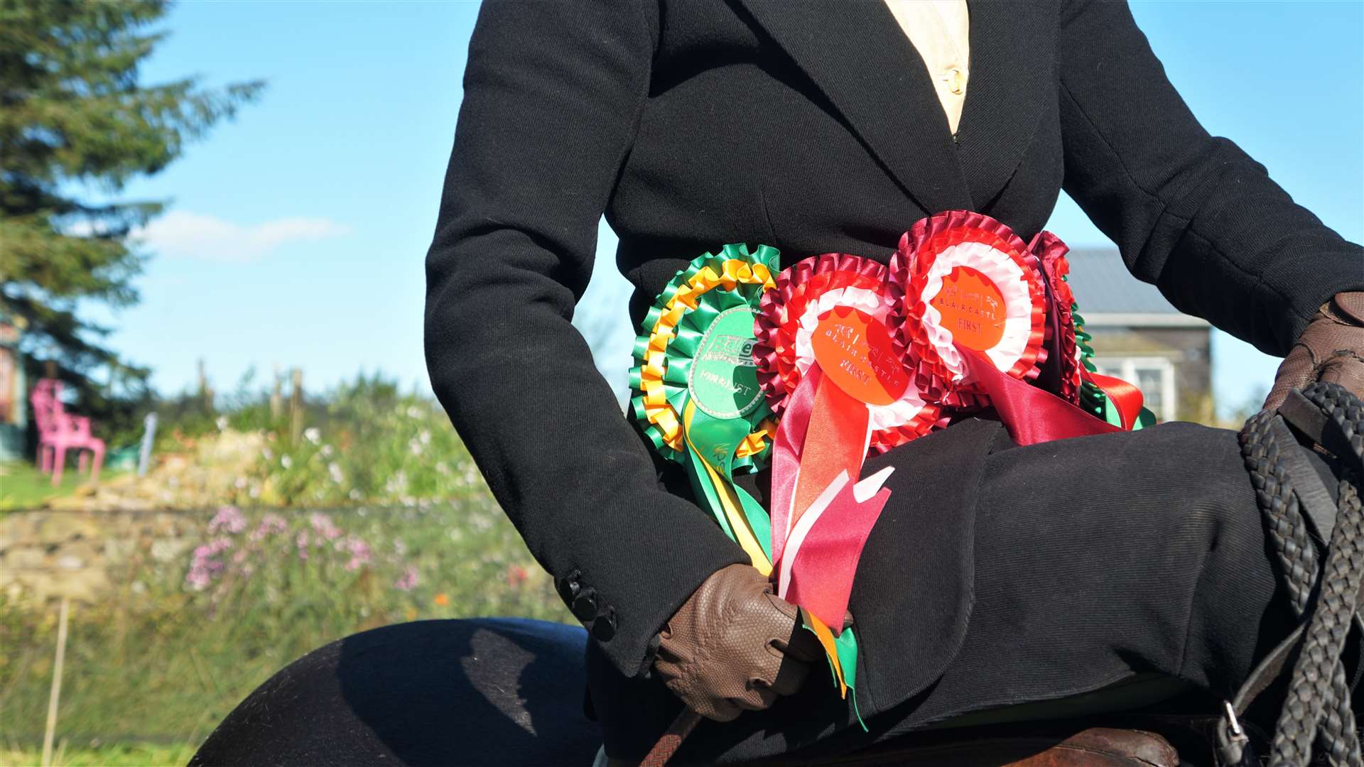 The rosettes Gabriella won at the prestigious horse show. Picture: DGS