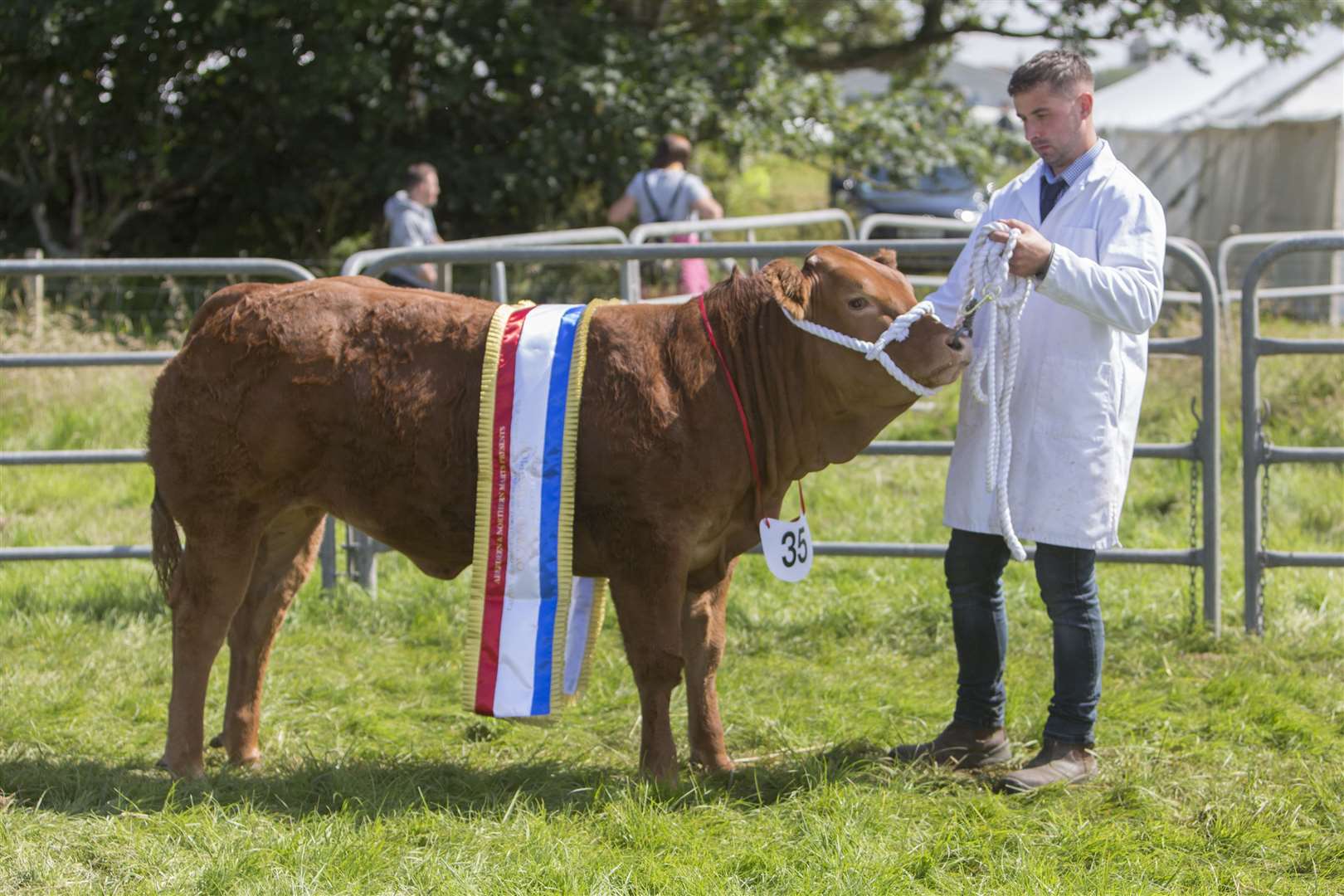 Kris Sutherland, Dunbeath, with his reserve supreme champion of champions, supreme cattle champion and commercial cattle champion, She's a Belter. The 13-month-old cross Limousin heifer was bought at Thainstone from Gordon Cameron. Picture: Robert MacDonald / Northern Studios
