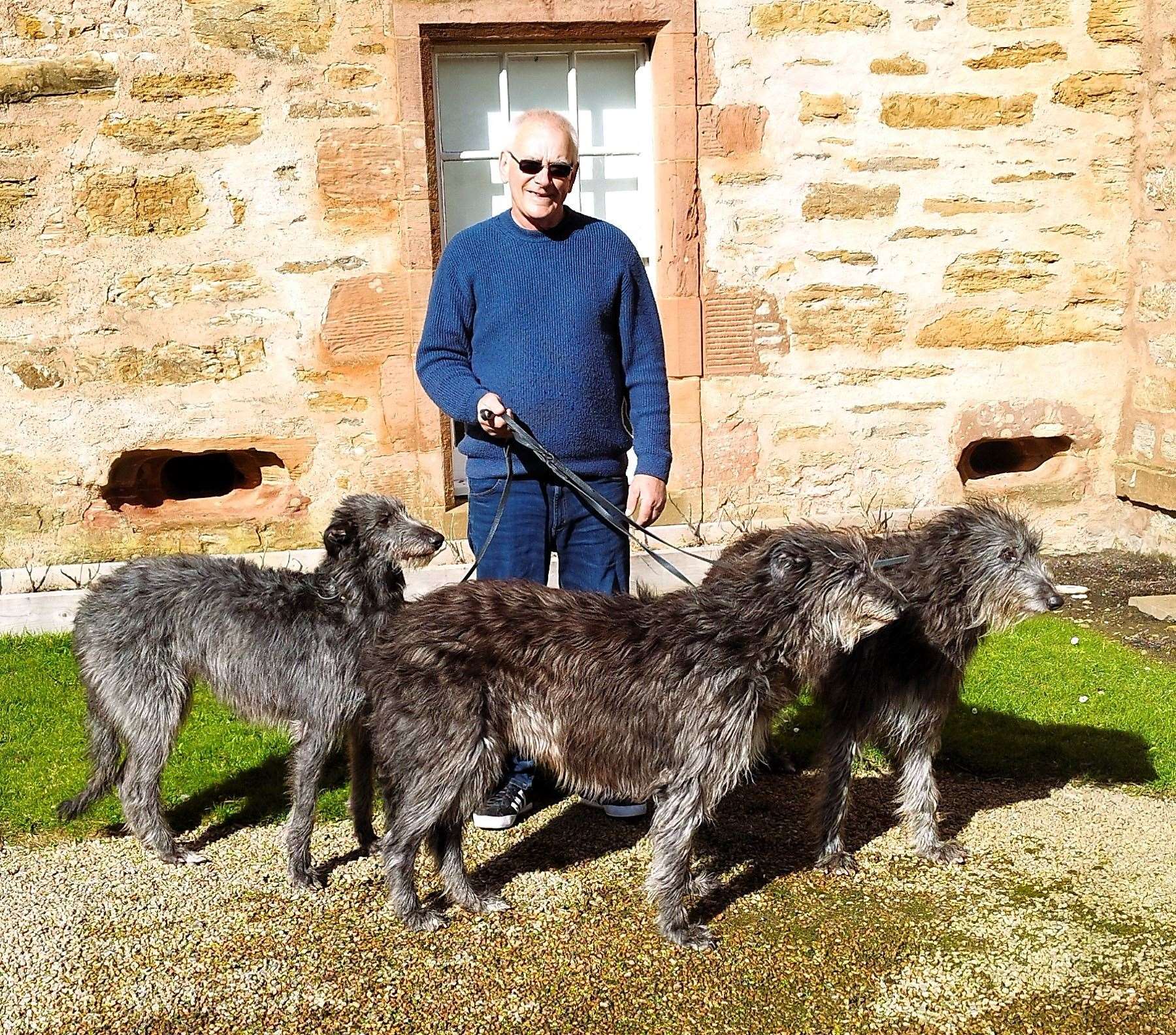 Ian Swanson with his celebrity deerhounds Briar, Barra and Beulah on the day of the shoot. The pedigree dogs also appear at prestigious shows in the UK. Picture: Laura Swanson