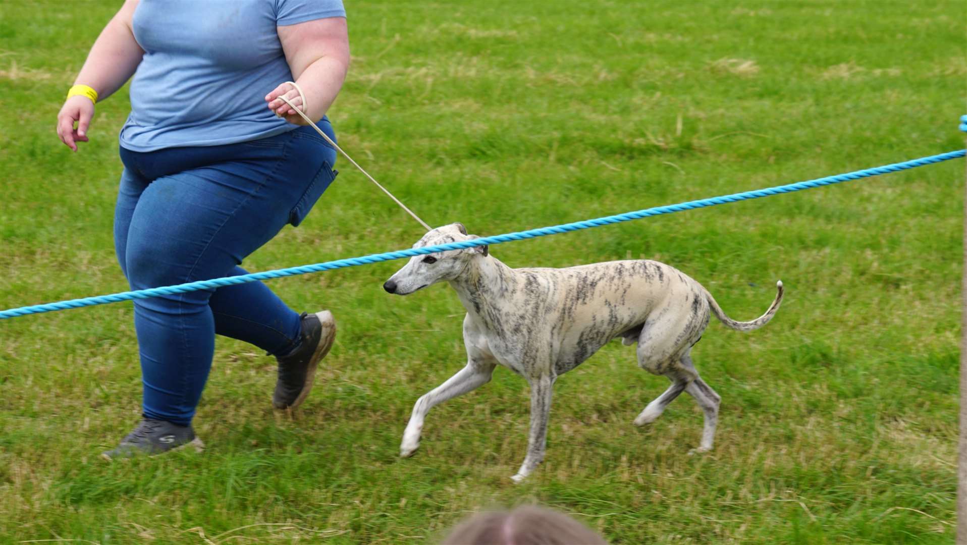Going on a walk in the ring. Picture: DGS